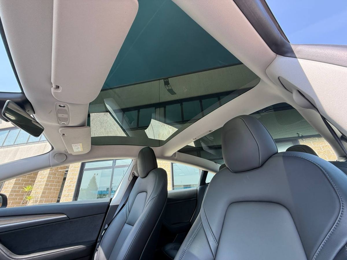 TESLA MODEL 3 STANDARD PLUS RWD 2022 usata — foto 15